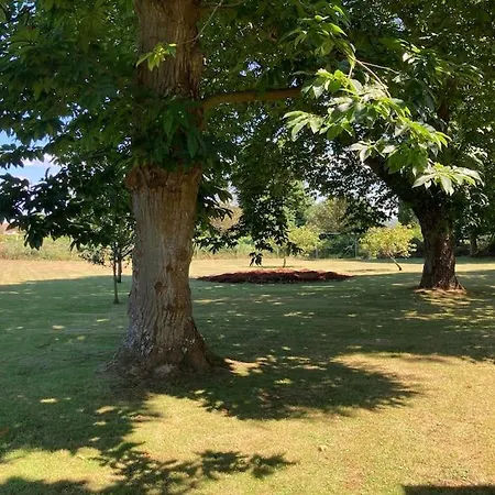 Casa vacanze Casa Senda De Miradores