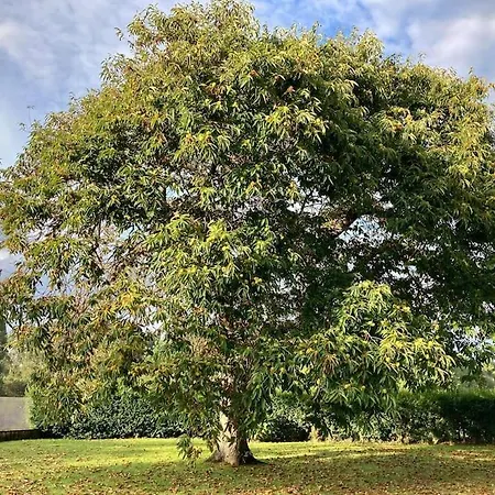 Casa Senda De Miradores